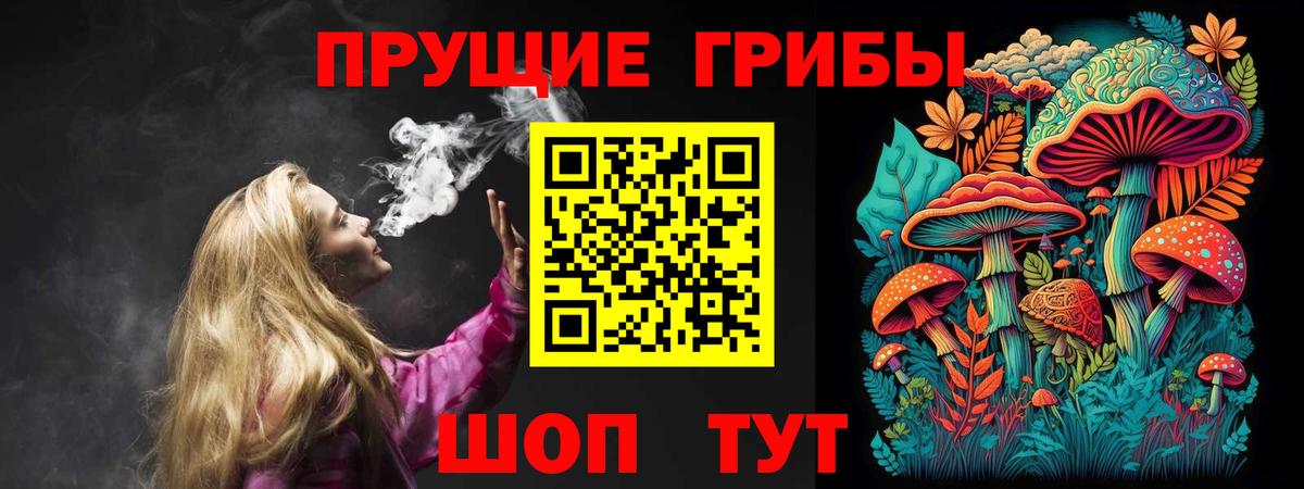 Гай  Галлюциногенные грибы Psilocybine cubensis  Вход с VPN 