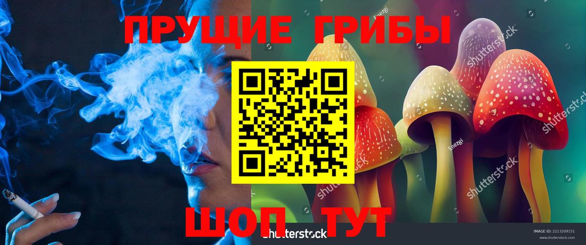 Псилоцибиновые грибы мухоморы Гай